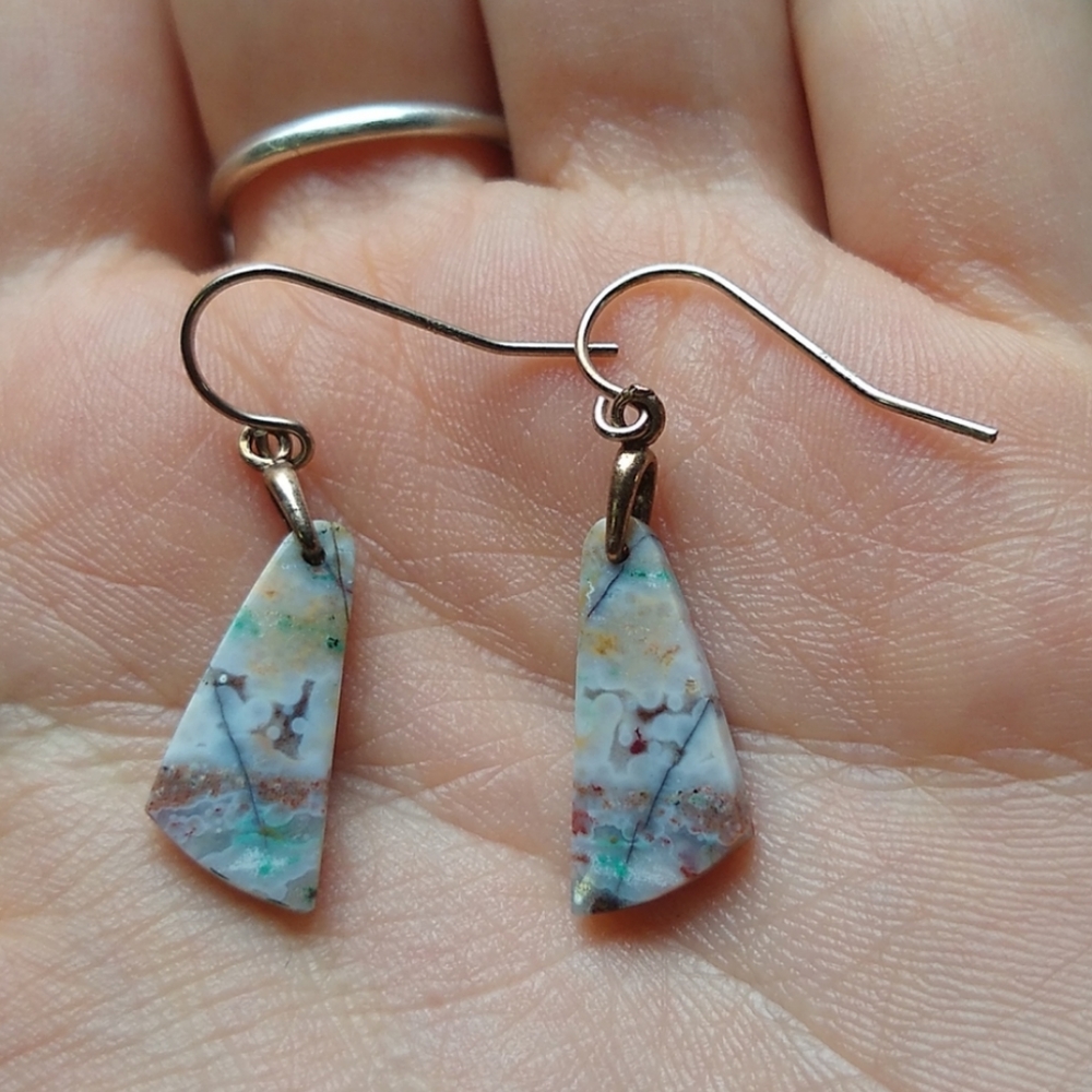 Opal fossil petrified wood earrings